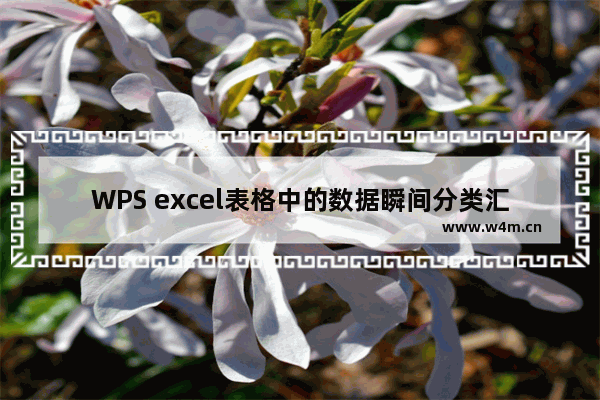 WPS excel表格中的数据瞬间分类汇总