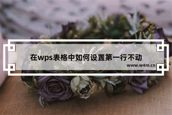 在wps表格中如何设置第一行不动