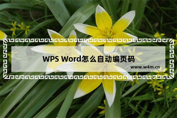 WPS Word怎么自动编页码