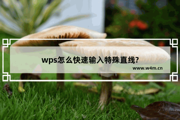 wps怎么快速输入特殊直线?