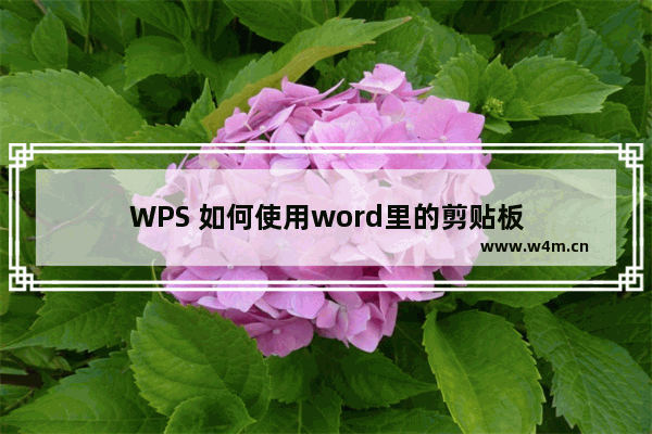 WPS 如何使用word里的剪贴板