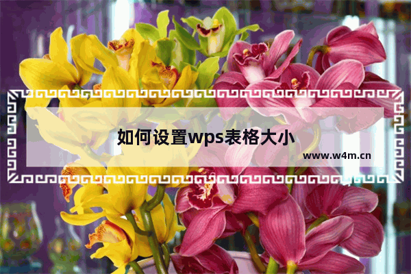 如何设置wps表格大小