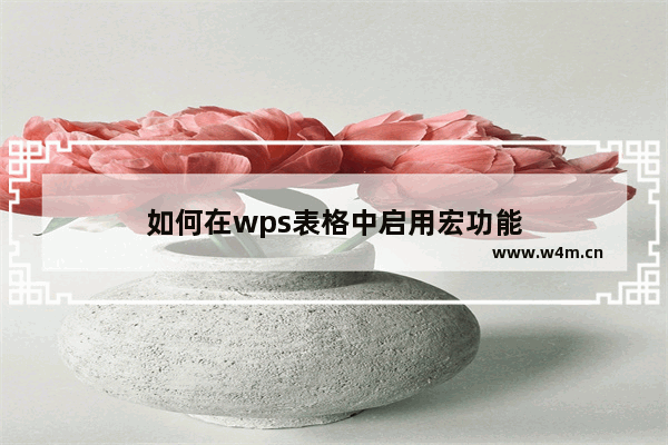 如何在wps表格中启用宏功能