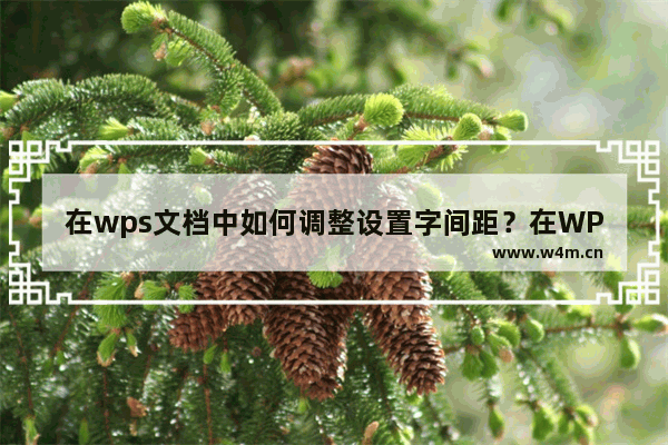 在wps文档中如何调整设置字间距？在WPS文档中调整字间距的方法教程