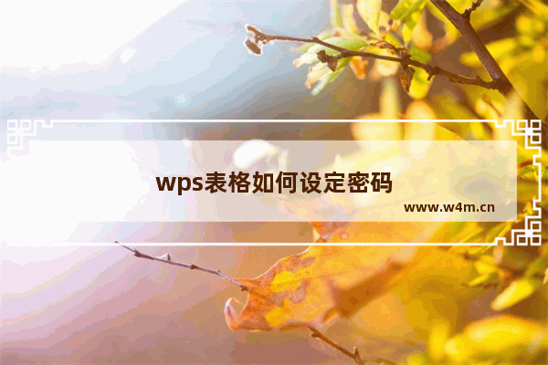 wps表格如何设定密码