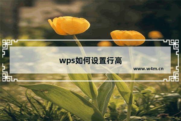 wps如何设置行高