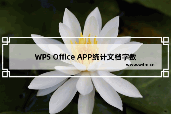 WPS Office APP统计文档字数的操作方法