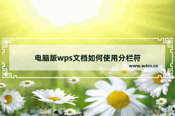 电脑版wps文档如何使用分栏符