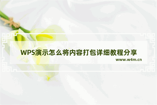 WPS演示怎么将内容打包详细教程分享