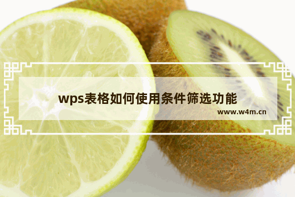 wps表格如何使用条件筛选功能