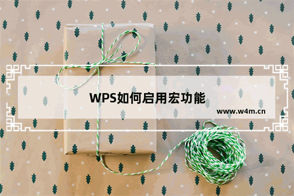 WPS如何启用宏功能