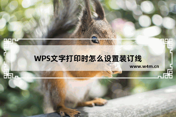 WPS文字打印时怎么设置装订线