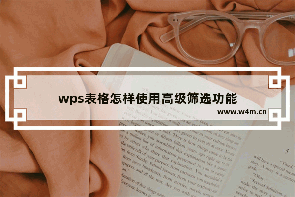 wps表格怎样使用高级筛选功能