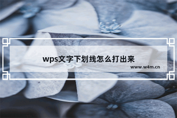 wps文字下划线怎么打出来