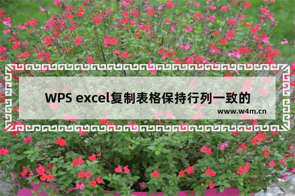 WPS excel复制表格保持行列一致的方法