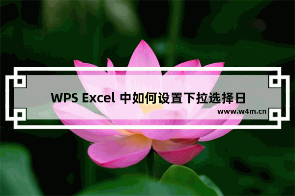 WPS Excel 中如何设置下拉选择日期