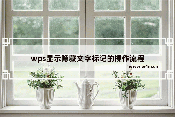 wps显示隐藏文字标记的操作流程