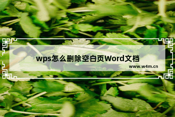 wps怎么删除空白页Word文档