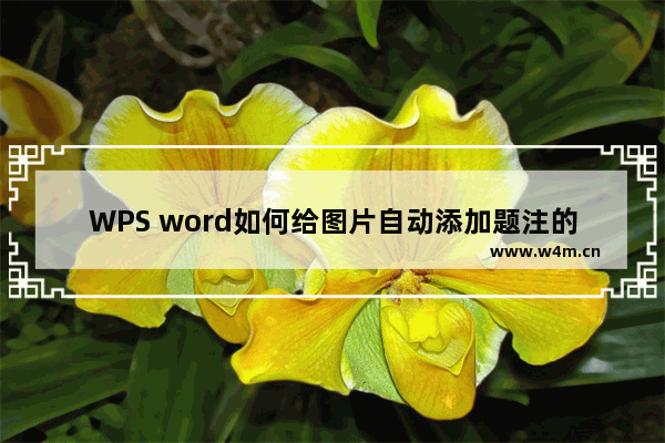 WPS word如何给图片自动添加题注的方法