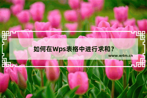 如何在Wps表格中进行求和？