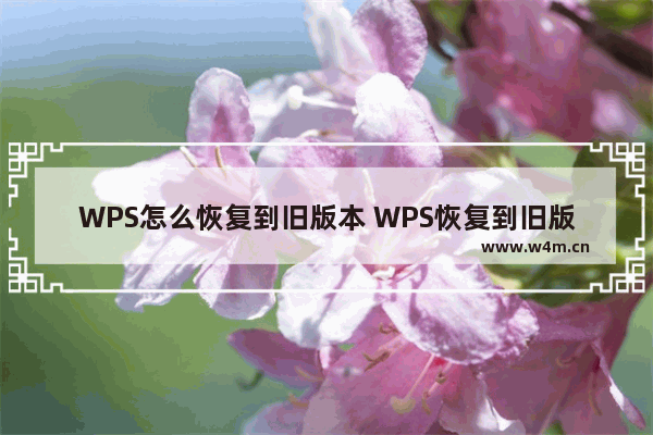 WPS怎么恢复到旧版本 WPS恢复到旧版本的方法