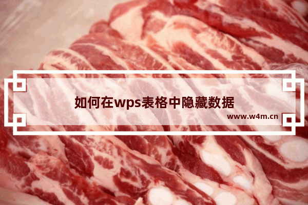 如何在wps表格中隐藏数据