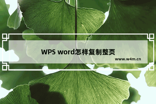 WPS word怎样复制整页