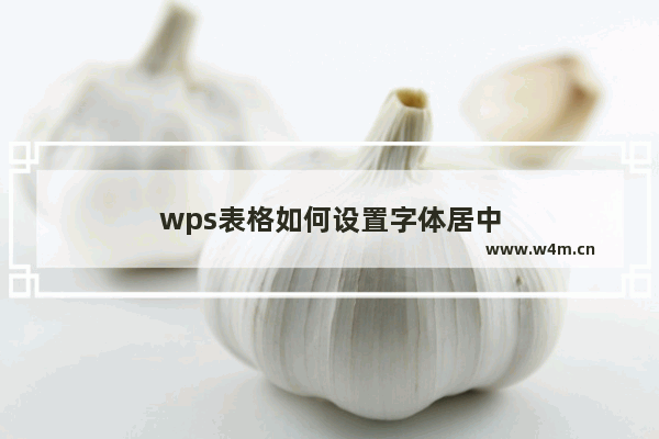 wps表格如何设置字体居中