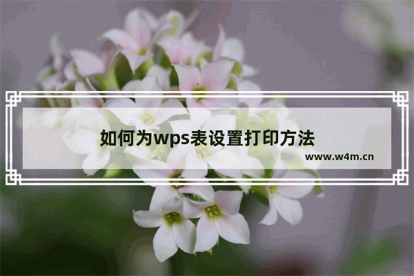 如何为wps表设置打印方法