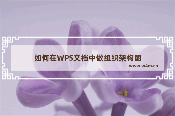 如何在WPS文档中做组织架构图