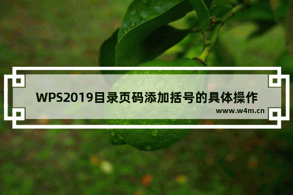 WPS2019目录页码添加括号的具体操作方法