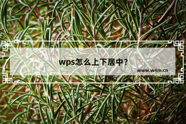 wps怎么上下居中？