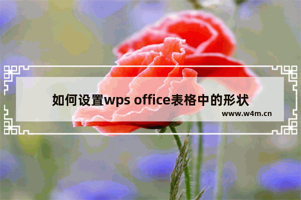 如何设置wps office表格中的形状轮廓？