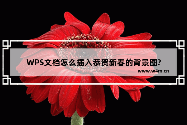 WPS文档怎么插入恭贺新春的背景图?