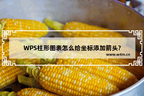 WPS柱形图表怎么给坐标添加箭头?