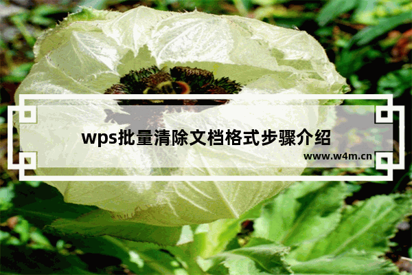 wps批量清除文档格式步骤介绍