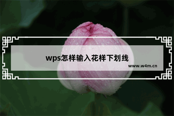 wps怎样输入花样下划线