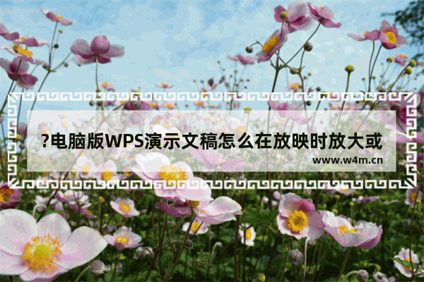 ?电脑版WPS演示文稿怎么在放映时放大或缩小页面