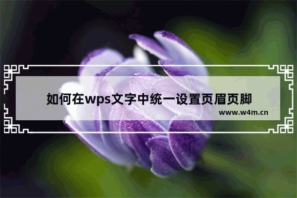 如何在wps文字中统一设置页眉页脚