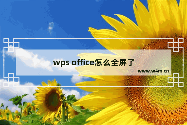 wps office怎么全屏了