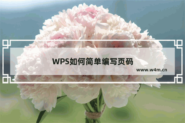 WPS如何简单编写页码