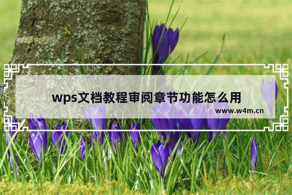 wps文档教程审阅章节功能怎么用