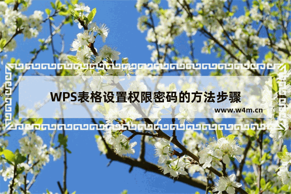 WPS表格设置权限密码的方法步骤