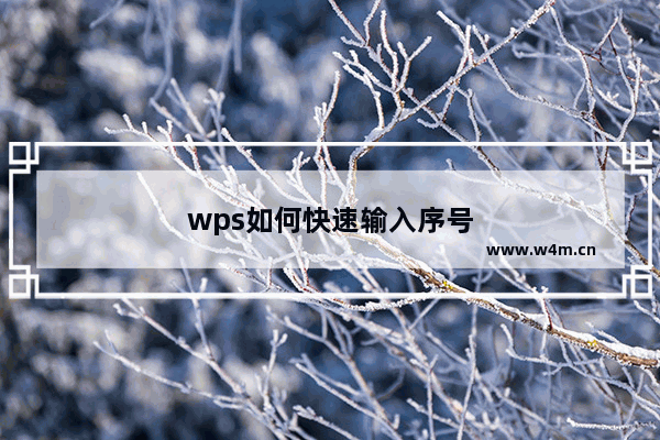 wps如何快速输入序号