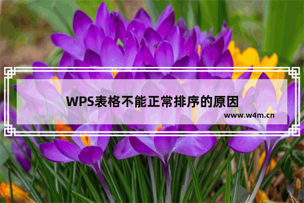 WPS表格不能正常排序的原因