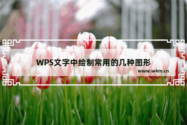 WPS文字中绘制常用的几种图形