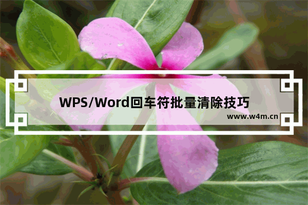 WPS/Word回车符批量清除技巧