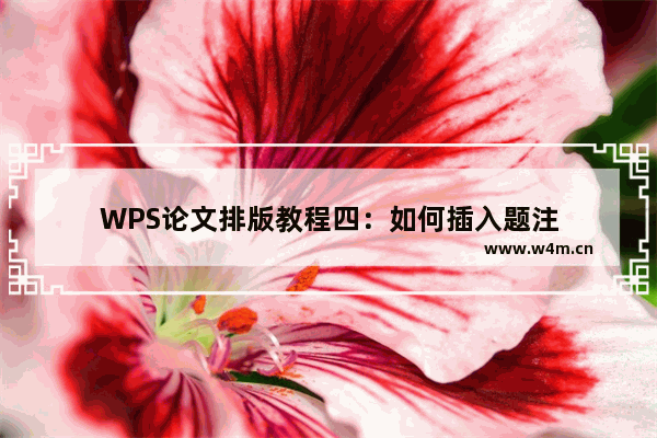 WPS论文排版教程四：如何插入题注