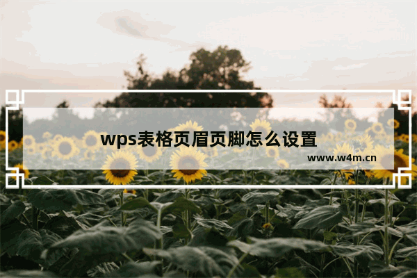 wps表格页眉页脚怎么设置