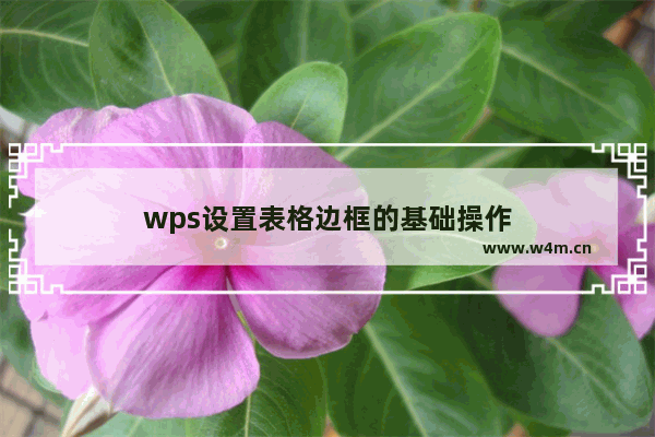 wps设置表格边框的基础操作